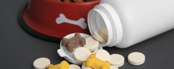 friandises naturelles pour chien et chat