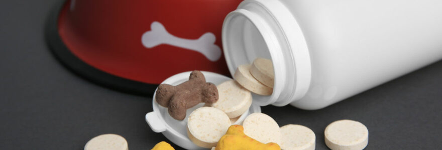 friandises naturelles pour chien et chat